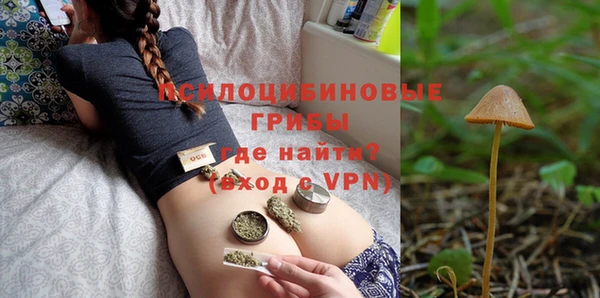 марки nbome Белокуриха